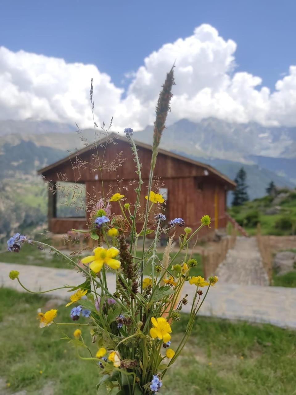 Khana Badosh Resort Kalam ภายนอก รูปภาพ